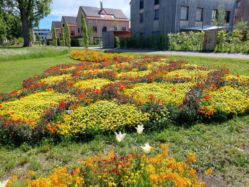Blumen Landesgarten schau