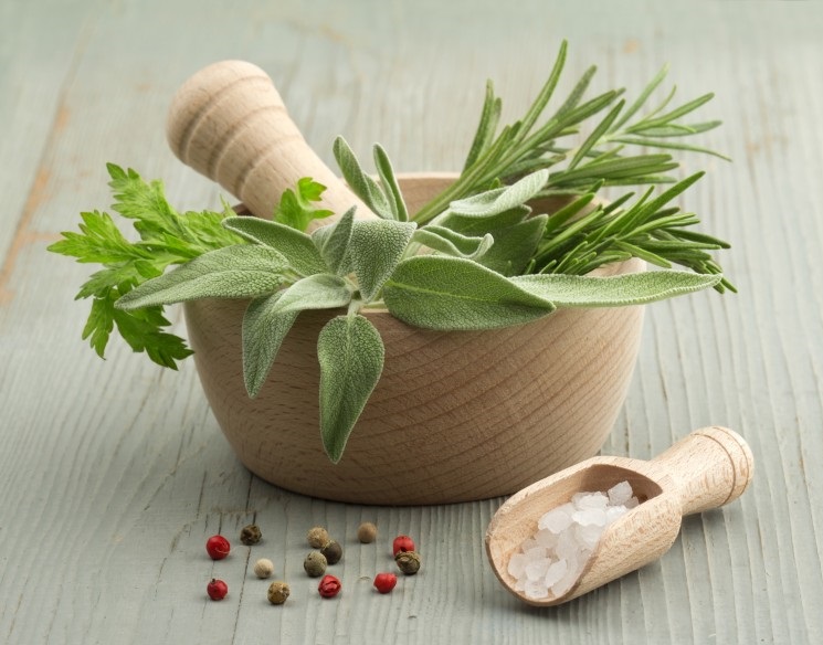 26_50 roland-hartmann.ch_OZ0030-Kraeuter-876x584_Titelbild