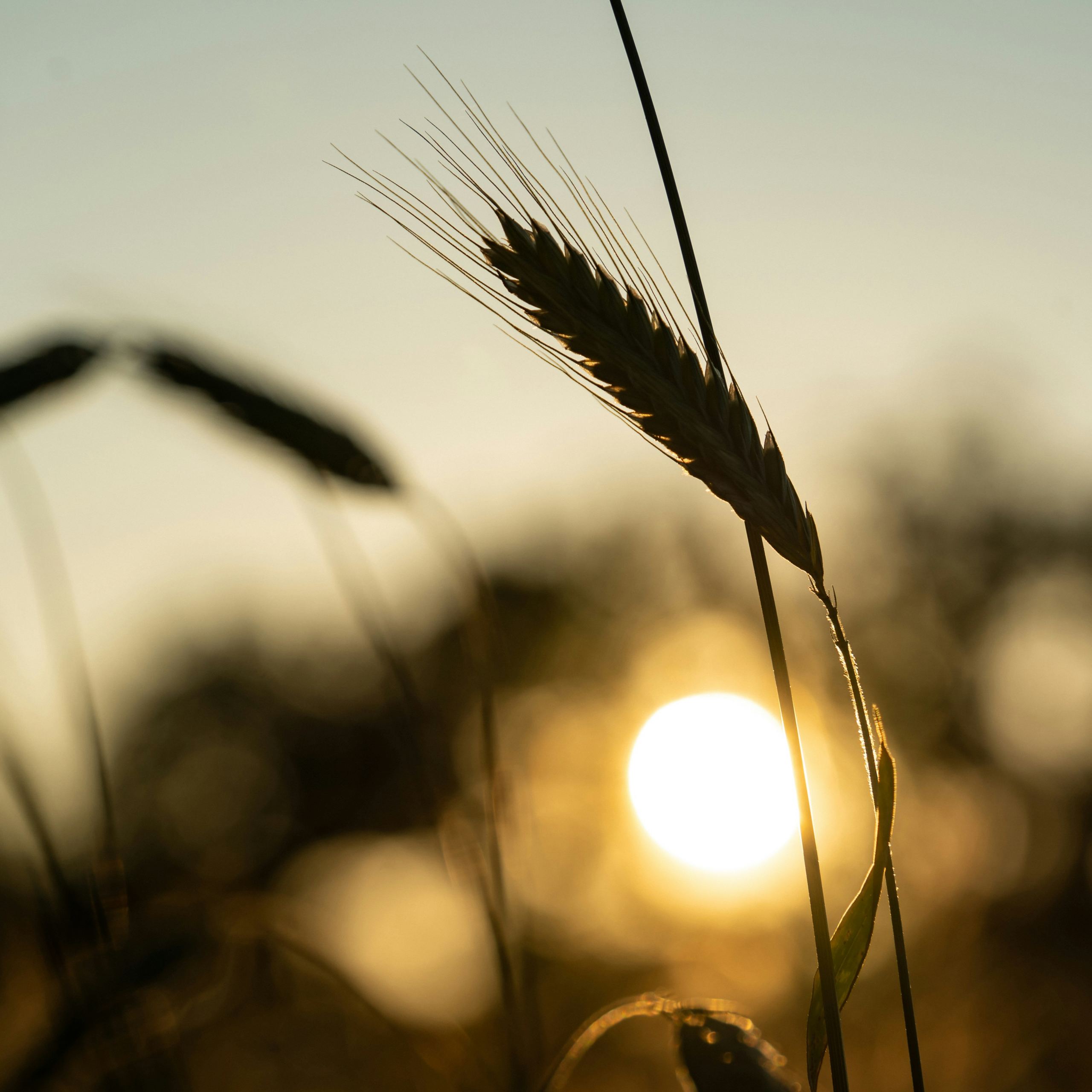 philipp-deus-KeruRlDC0oc-unsplash_Titelbild